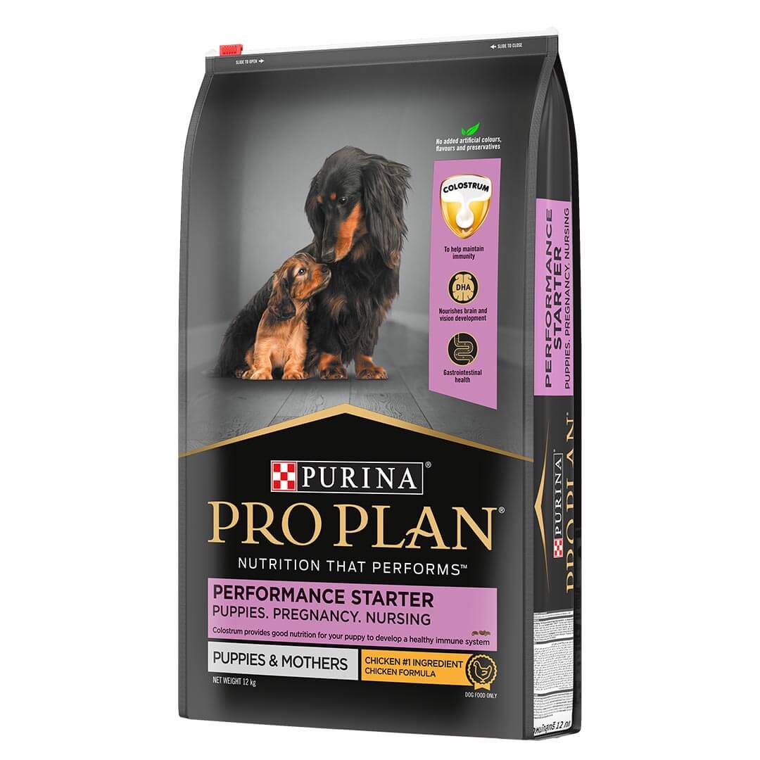 PURINA PRO PLAN Performance Starter Dry Dog Food