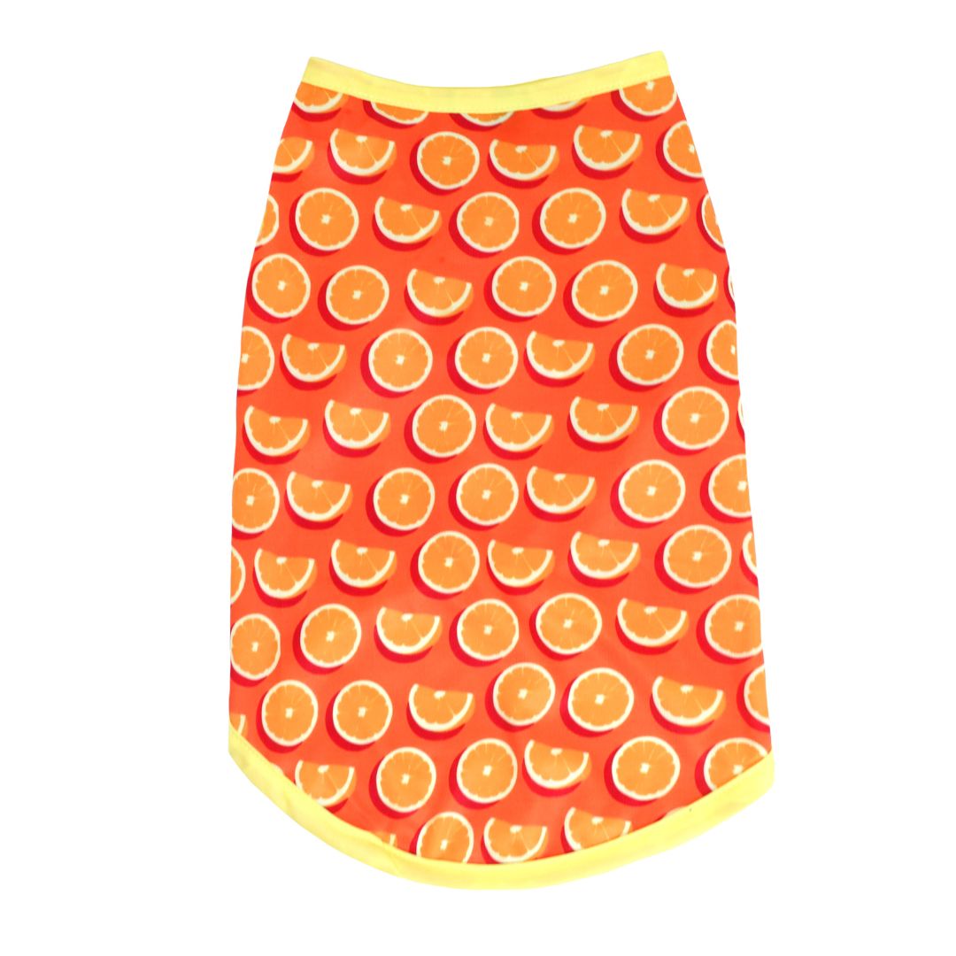 Fruity Dog Vest Combo