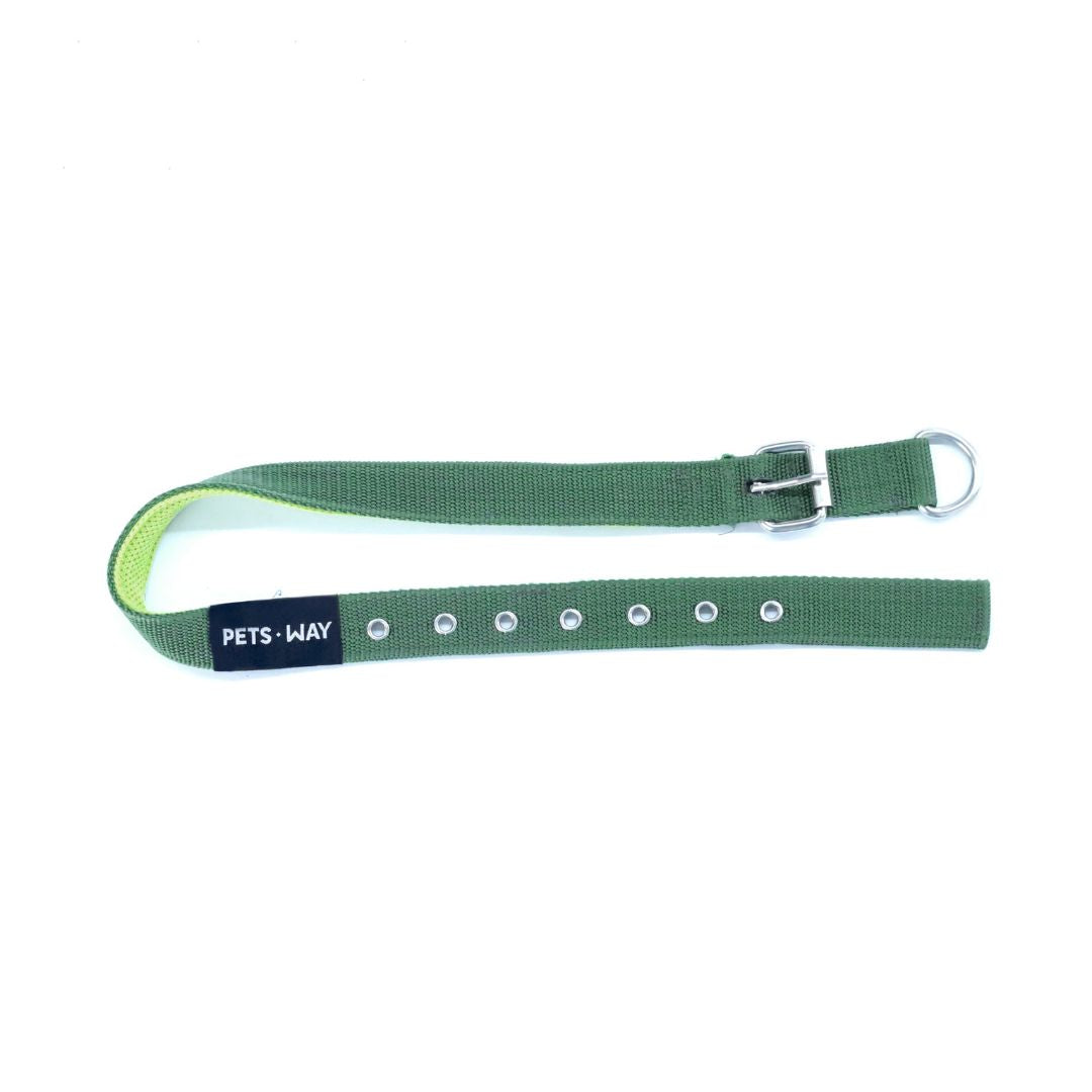 Olive Every Day Dog Collar Leash Set