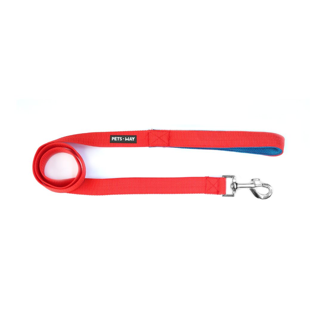Jam Every Day Dog Collar Leash Set