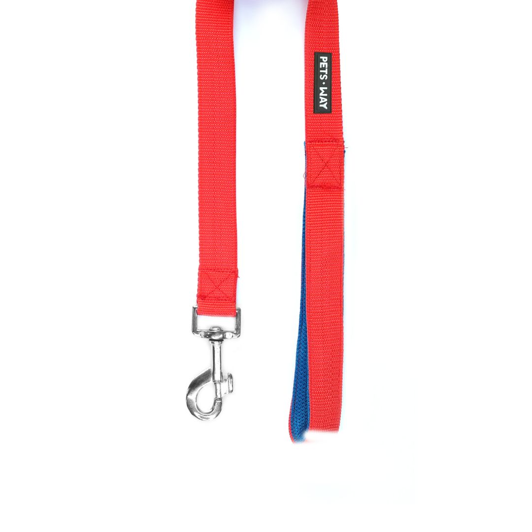 Jam Every Day Dog Collar Leash Set