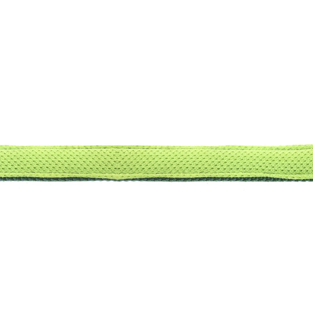 Olive Every Day Dog Collar Leash Set