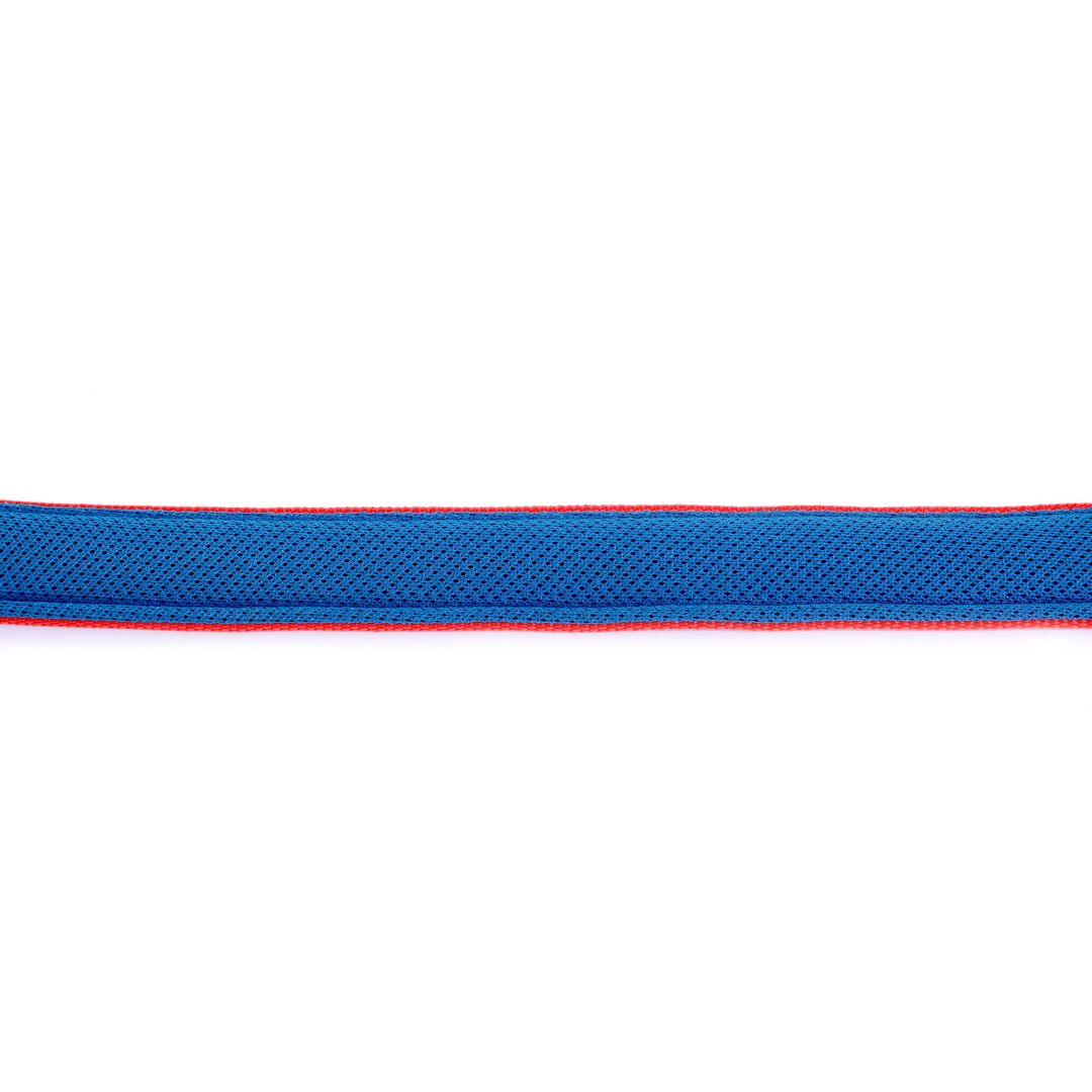 Jam Every Day Dog Collar Leash Set