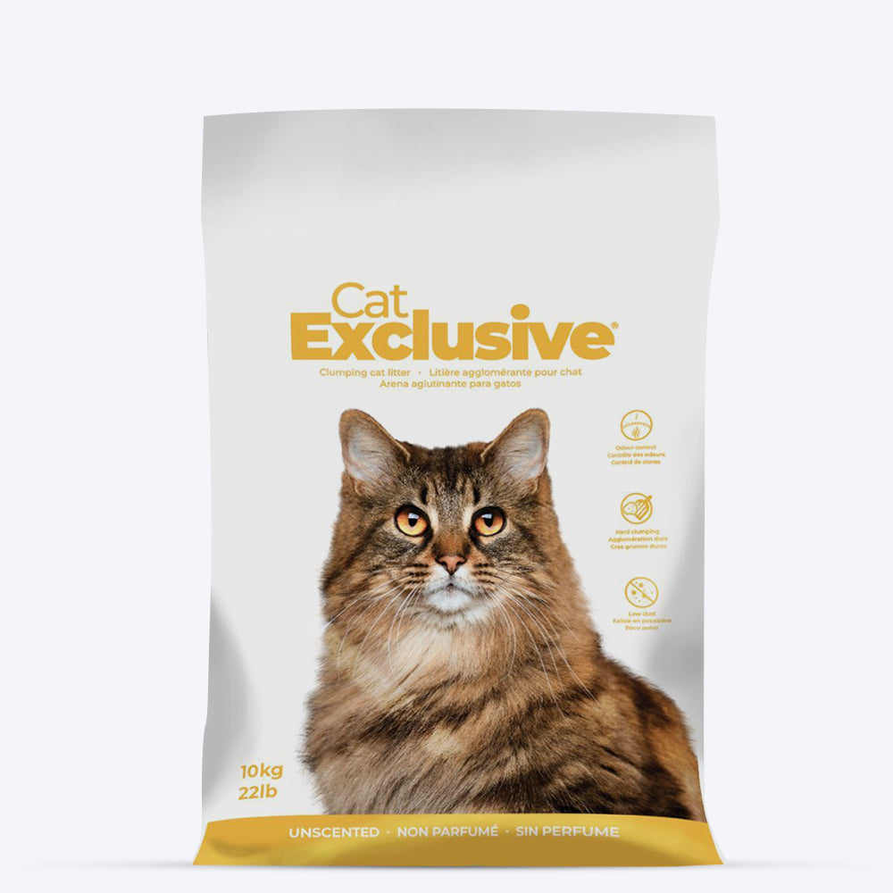 Intersand Cat Exclusive Scoopable Clumping Cat Litter - 10 kg
