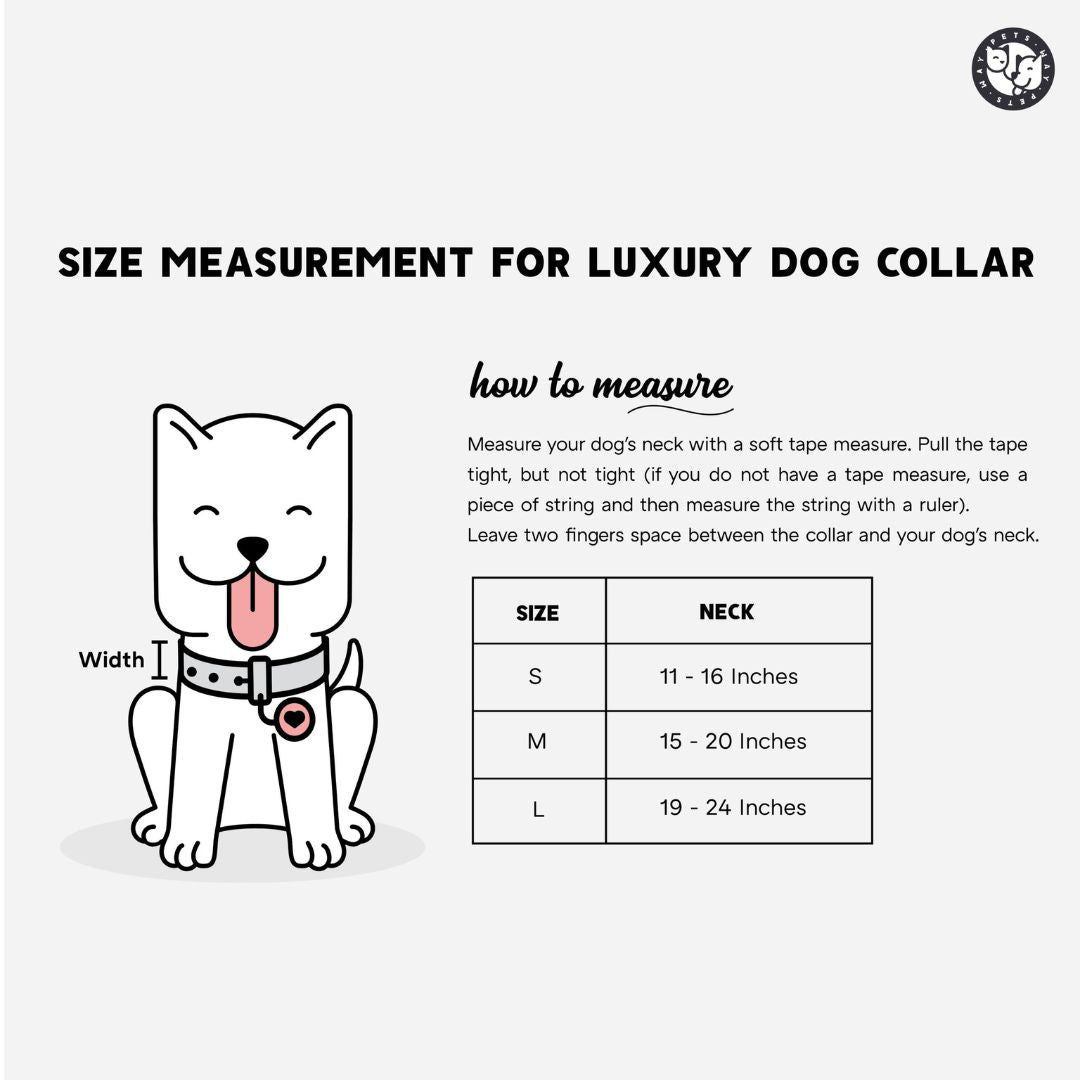 Jam Every Day Dog Collar Leash Set