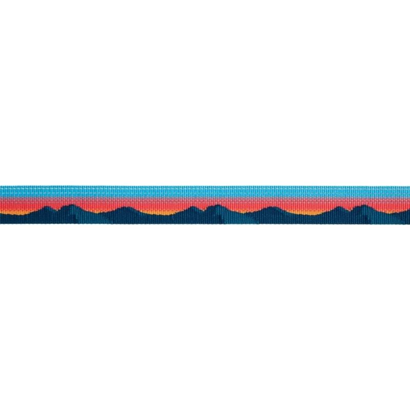 Ruffwear Collars for Dogs - Chain Reaction Collar - Sunset
