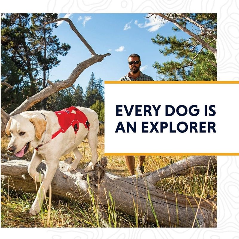 Ruffwear Harnesses for Dogs - Web Master