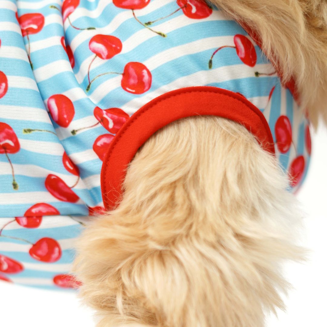 Fruity Dog Vest Combo