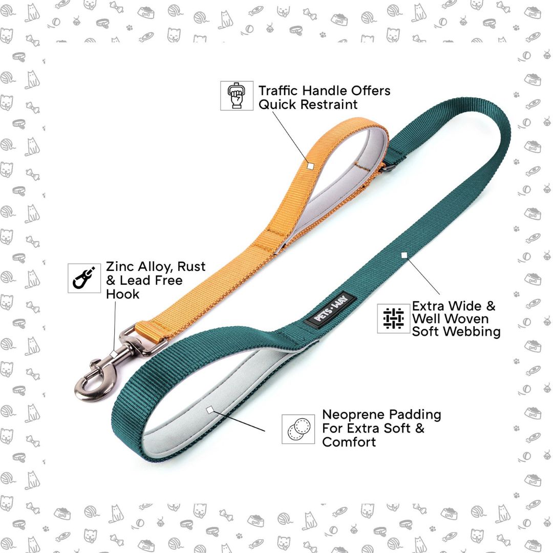Emerald & Honey - Traffic / Dual Handle Leash