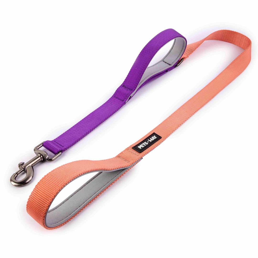 Peach & Amethyst - Traffic / Dual Handle Leash