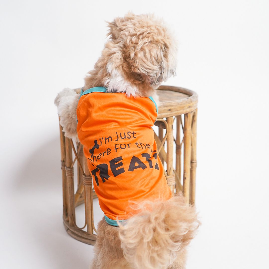 Treats Dog Vest