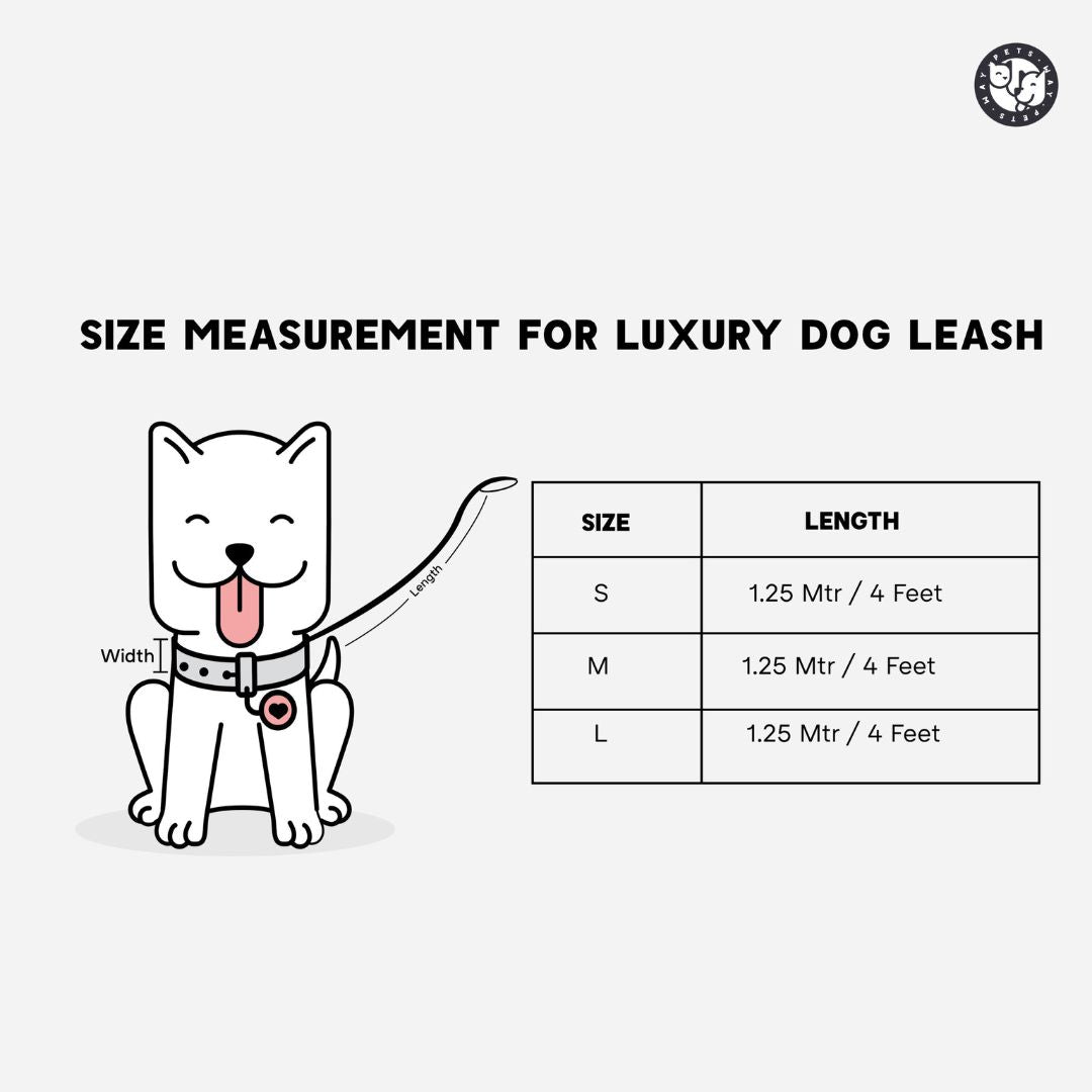 Butterscotch Every Day Dog Collar & Leash Set