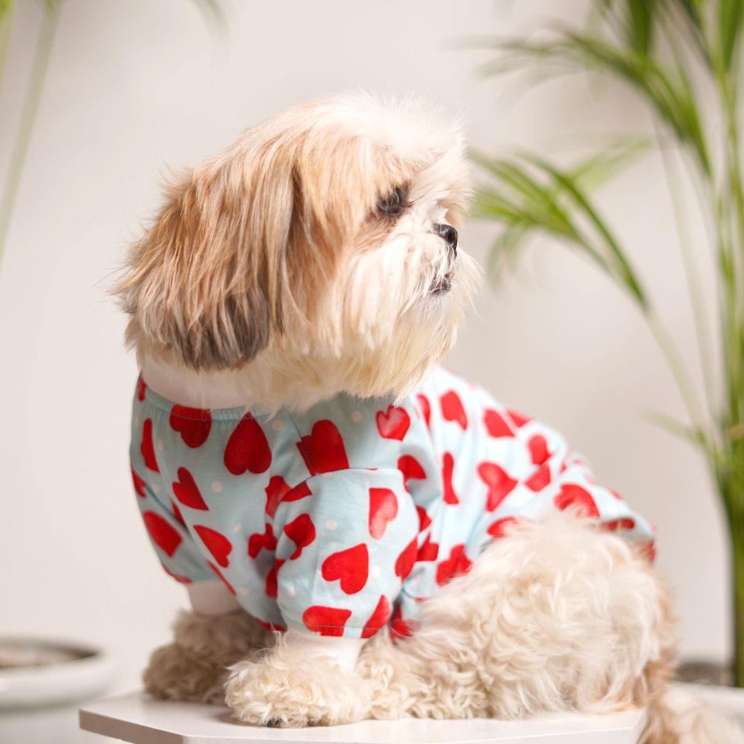Little Heart Printed Dog T-Shirt