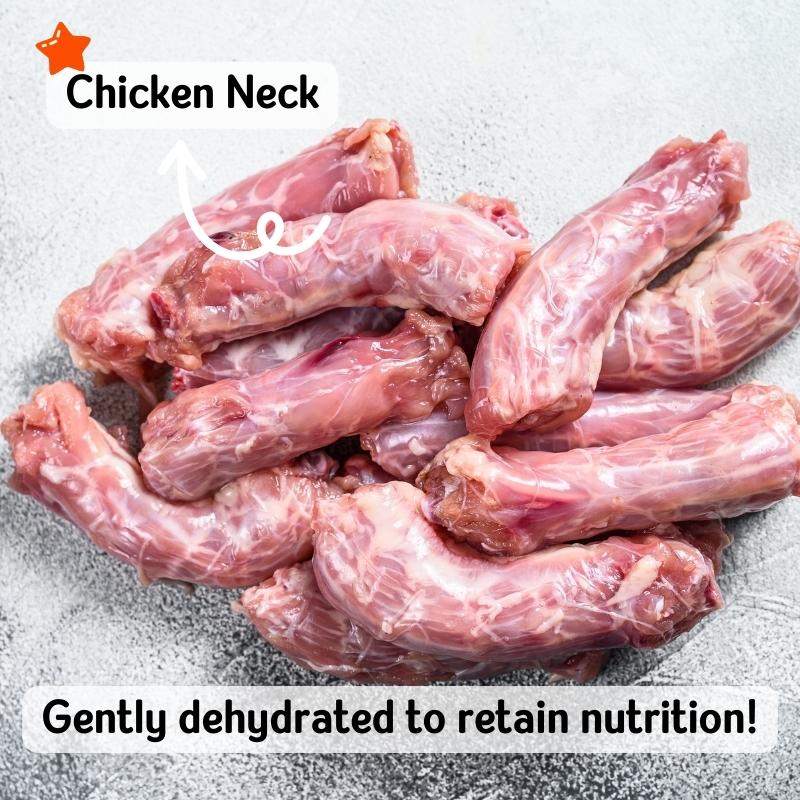 Chicken Neck | Dehydrated