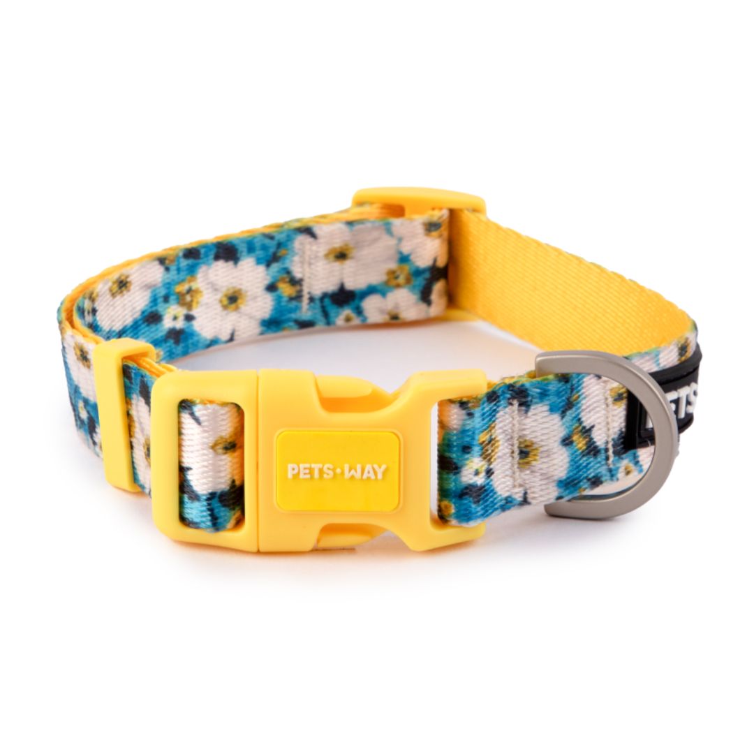 Blossom Dog Collar Leash Set