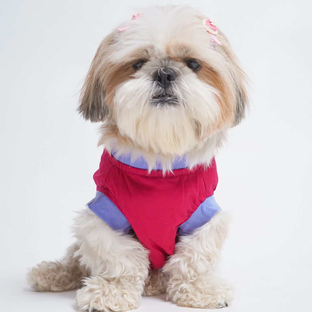 Magenta Dog T-Shirt - Sleeveless