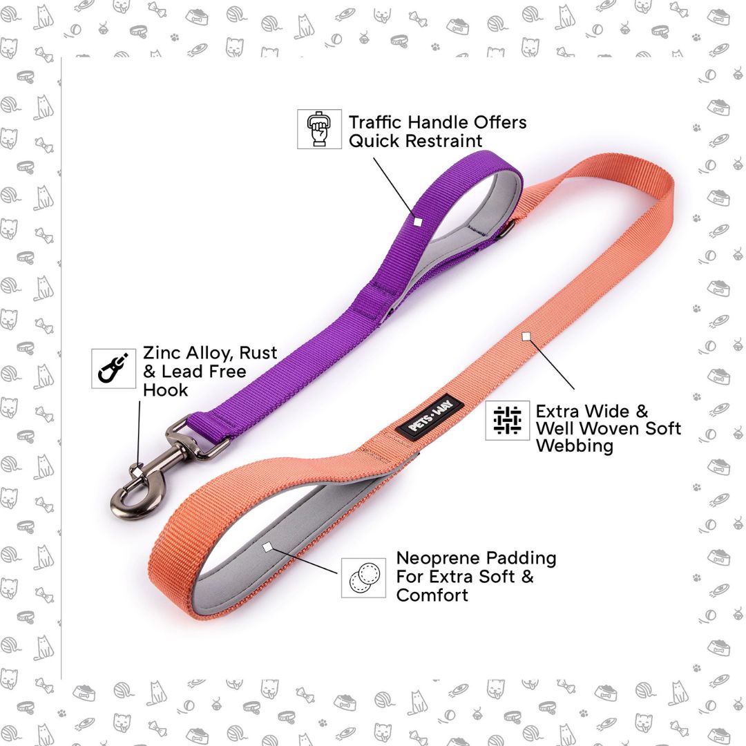 Peach & Amethyst - Traffic / Dual Handle Leash
