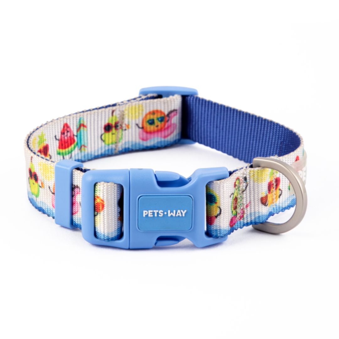 Summer Dog Collar Leash Set