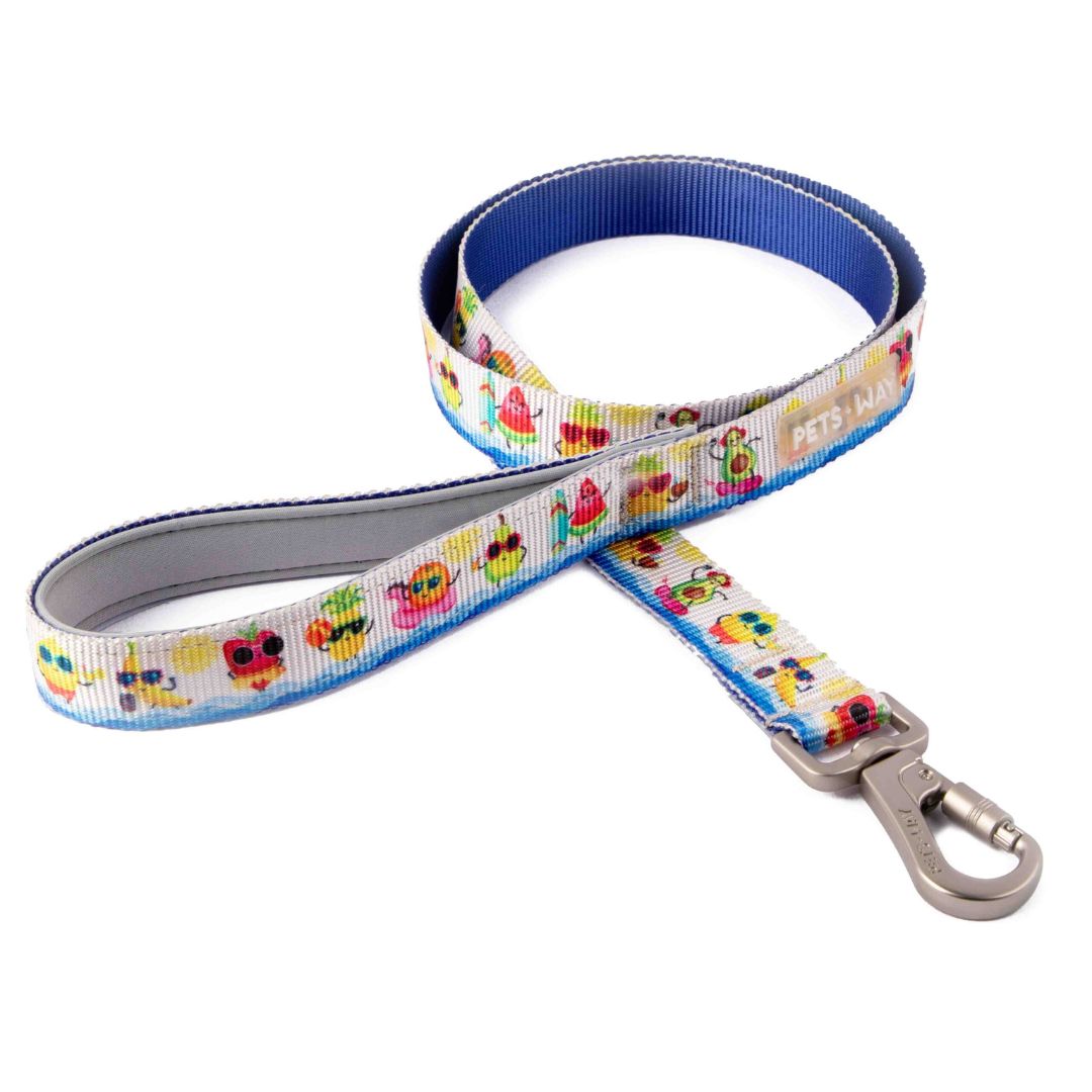Summer Dog Collar Leash Set