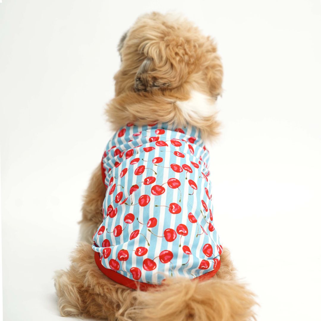 Cherry Land Printed Dog Vest