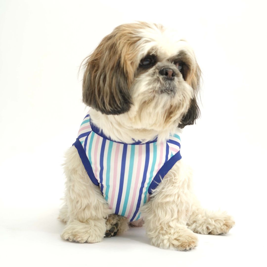 Tall Tails Printed Dog Vest