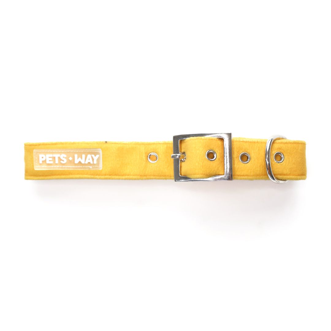 Amber Luxury Velvet Collar