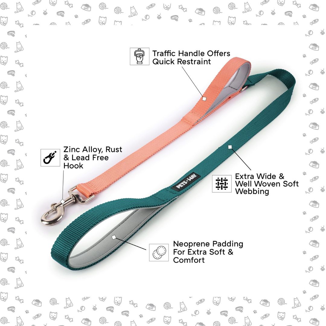 Emerald & Peach - Traffic / Dual Handle Leash