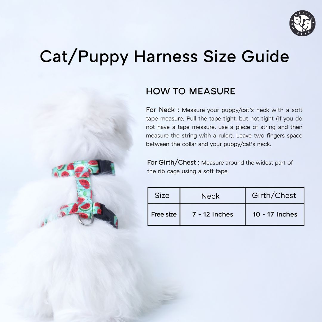 Candy Crush Puppy & Cat Harness