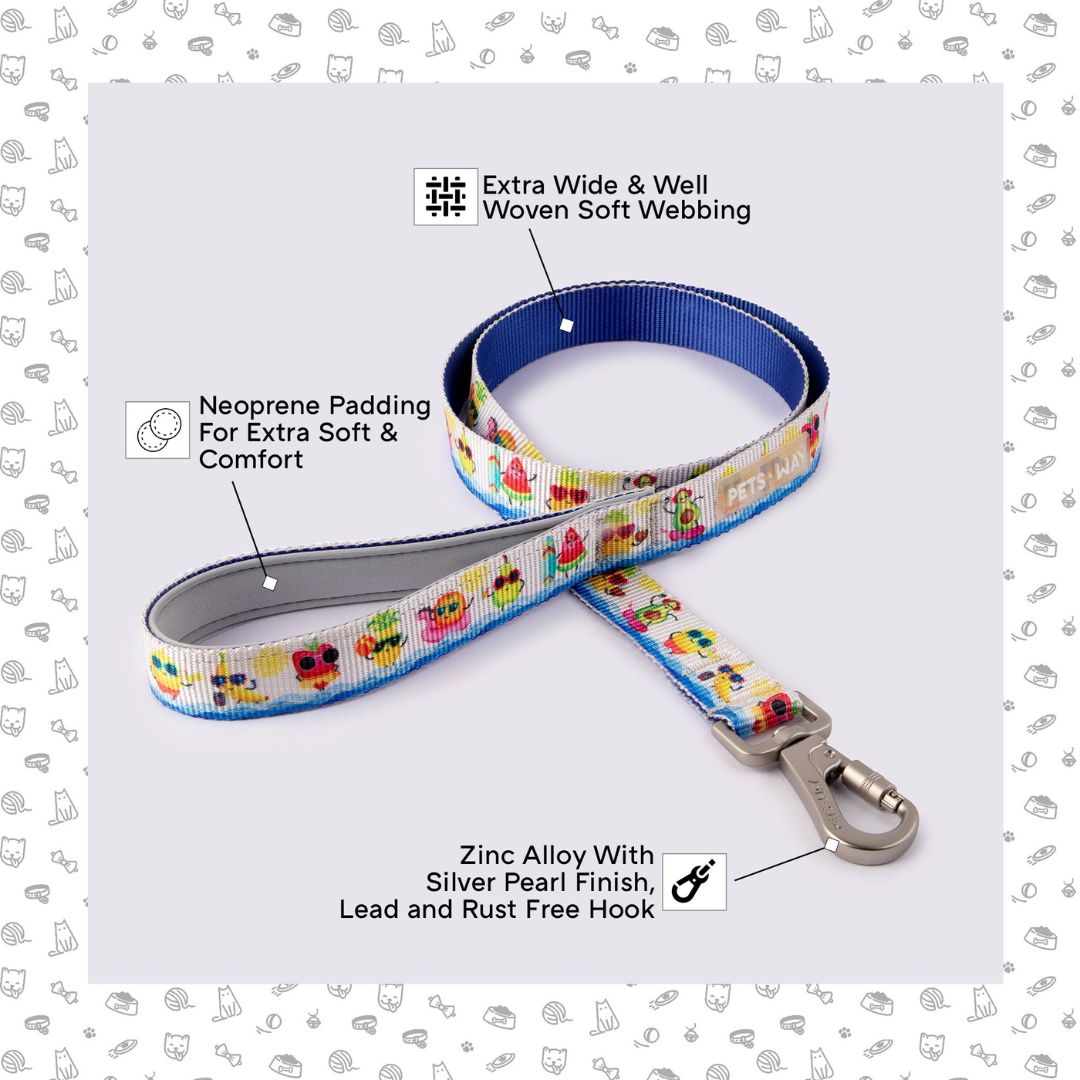 Summer Dog Collar Leash Set