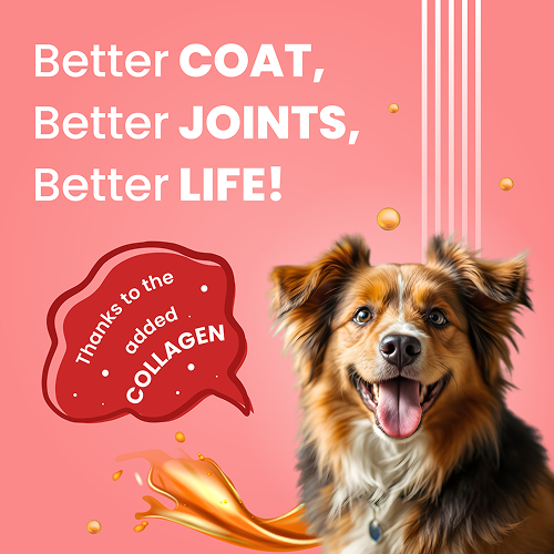 Bark Out Loud Collagen Protein Bar Chicken & Fish Treat for Dogs (Christmas Edition)