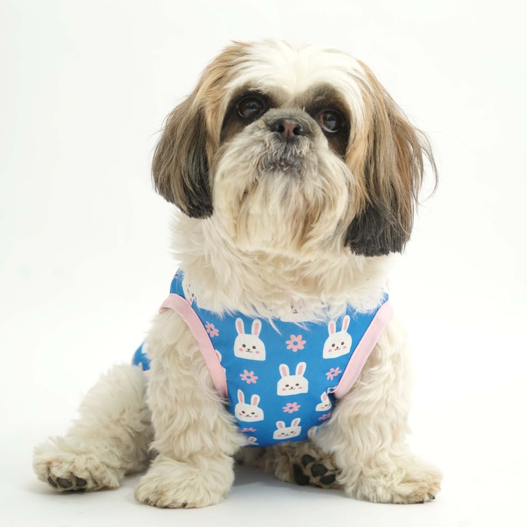 Bunny Printed Dog Vest