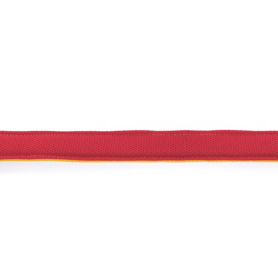 Butterscotch Every Day Dog Collar & Leash Set
