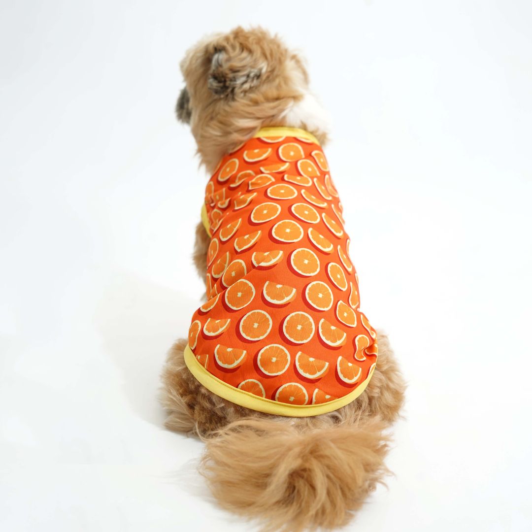 Fruity Dog Vest Combo