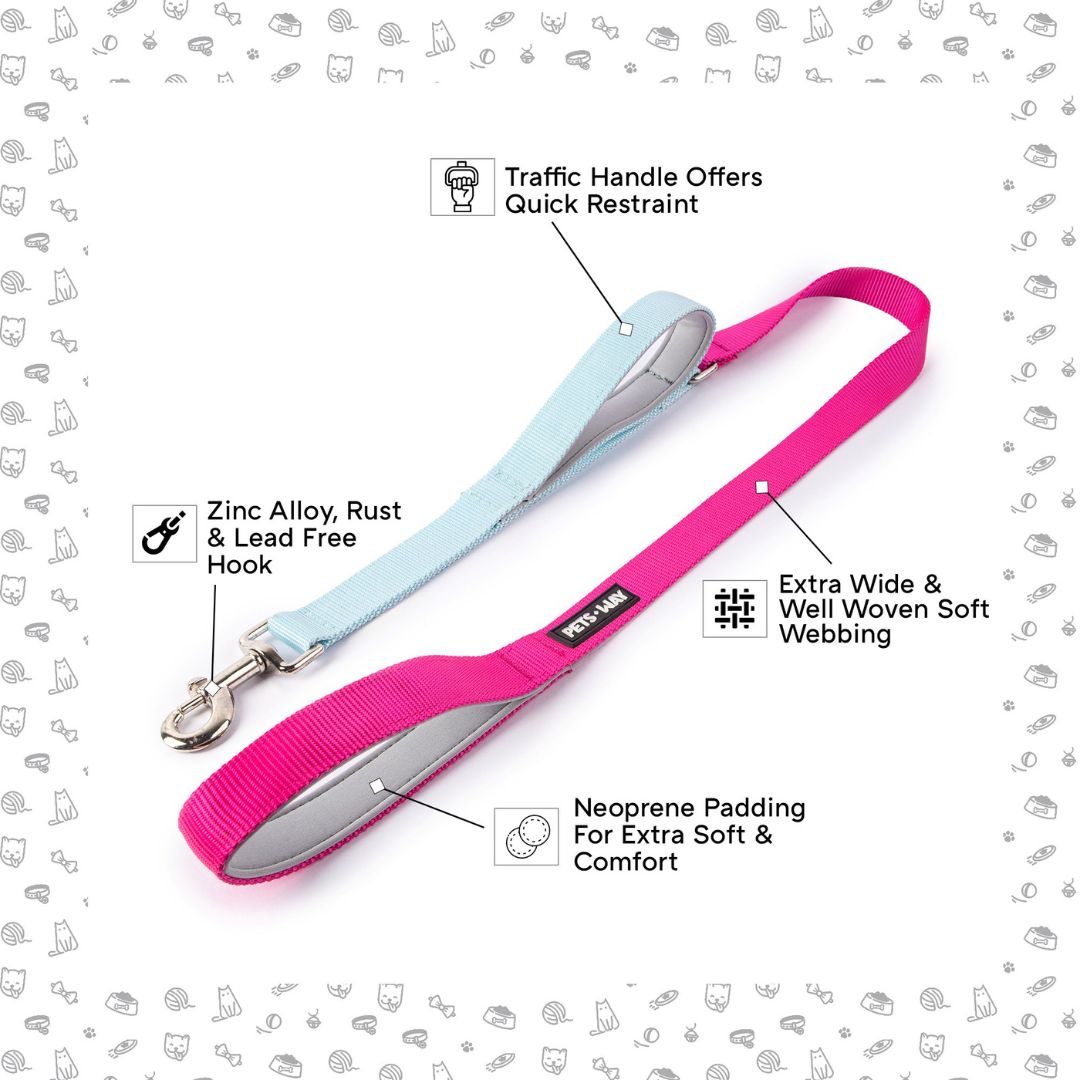 Fuschia & Sky - Traffic / Dual Handle Leash