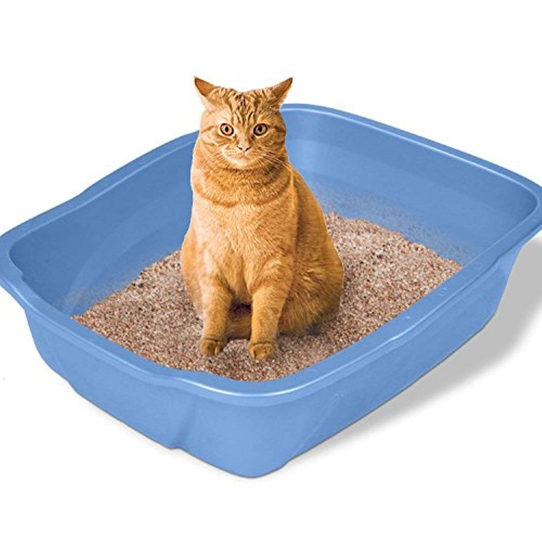 Emily Pets Fresh Scented Bentonite Clumping Cat Litter Lavender