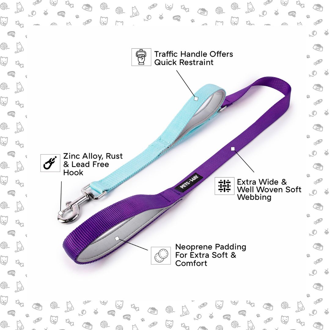 Amethyst & Sky - Traffic / Dual Handle Leash