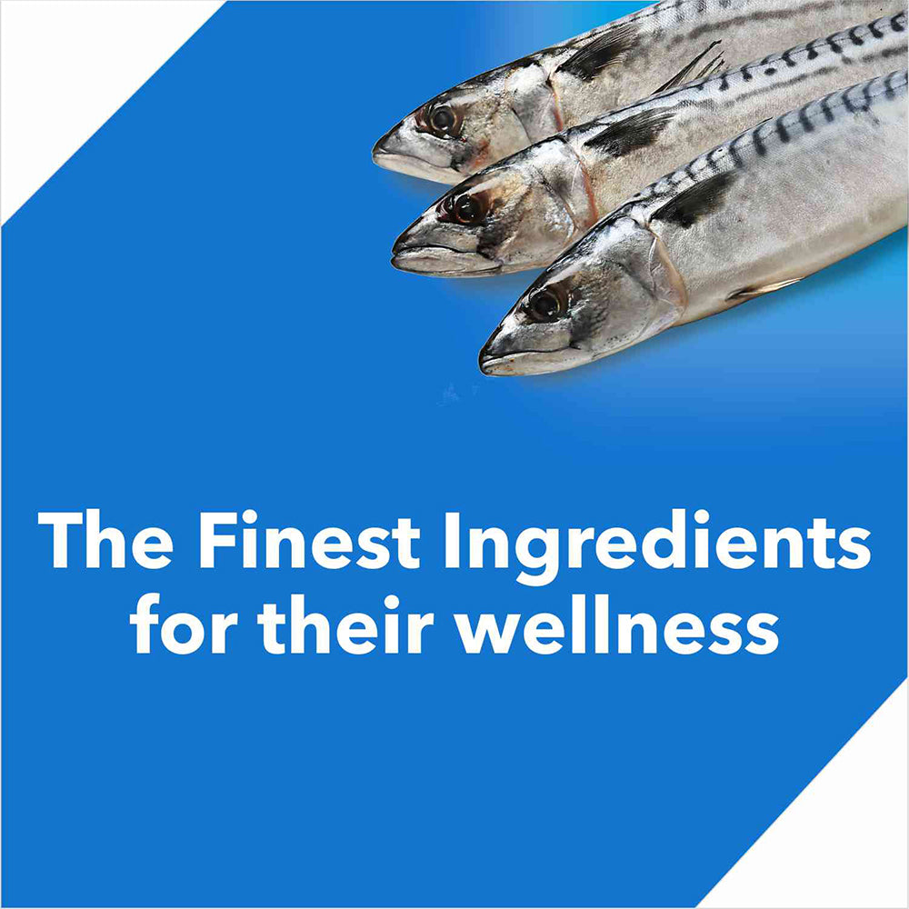 Drools Ocean Fish Dry Food For Cat - 3 kg