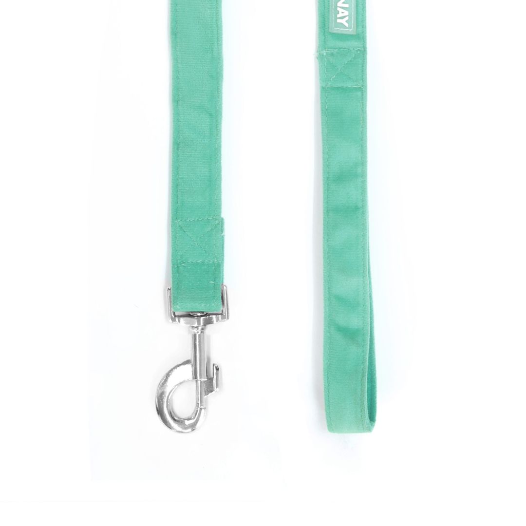 Teal Luxury Velvet Collar & Leash with Bow Tie