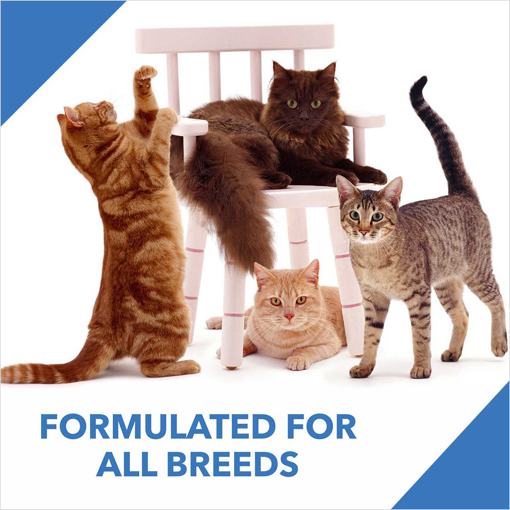 Drools Adult (+1 Year) Ocean Fish Dry Cat Food