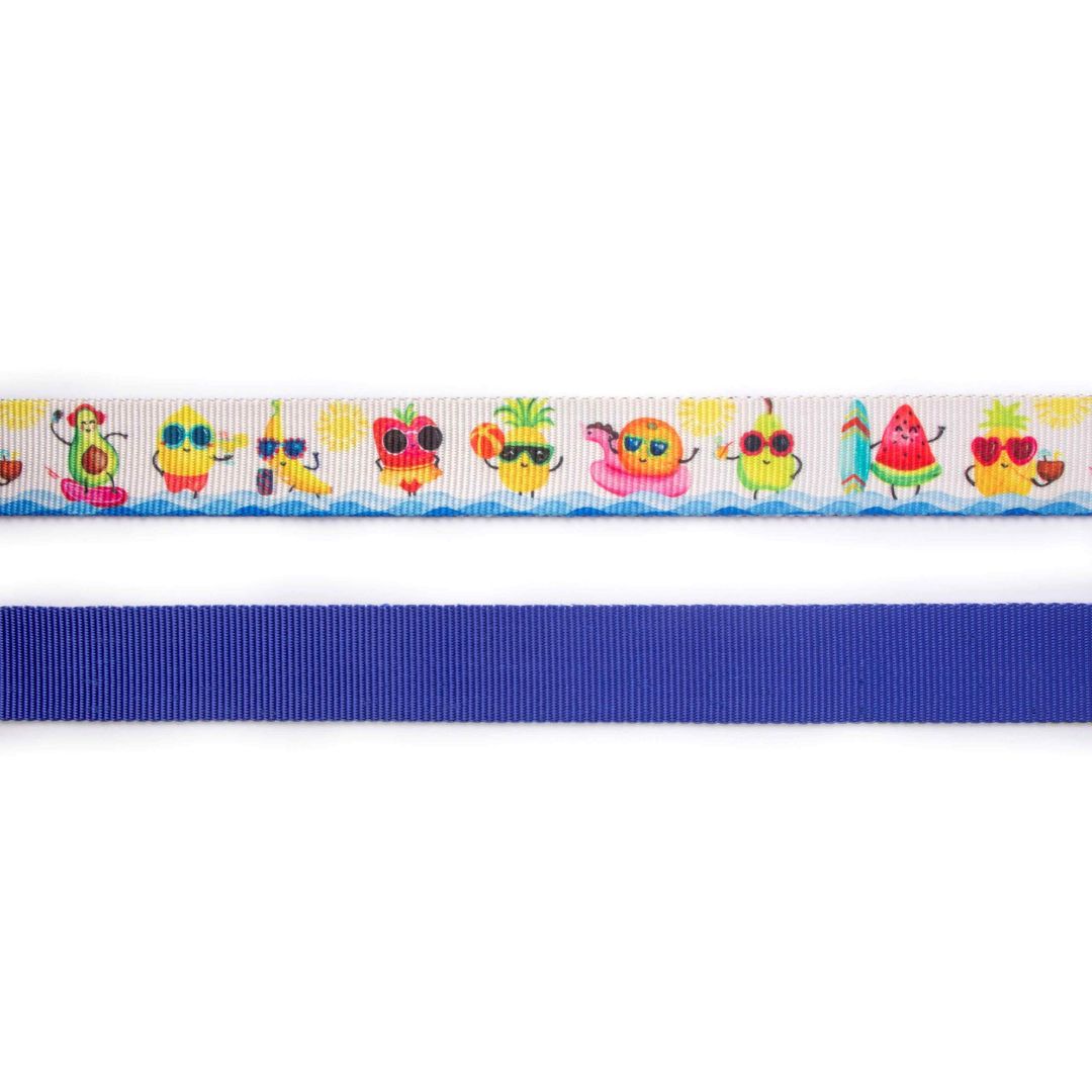 Summer Dog Collar Leash Set