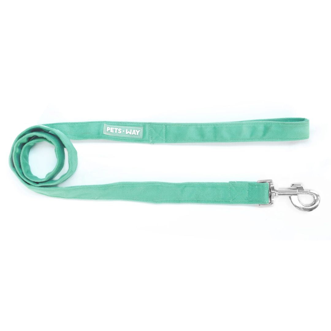 Teal Luxury Velvet Collar & Leash with Bow Tie