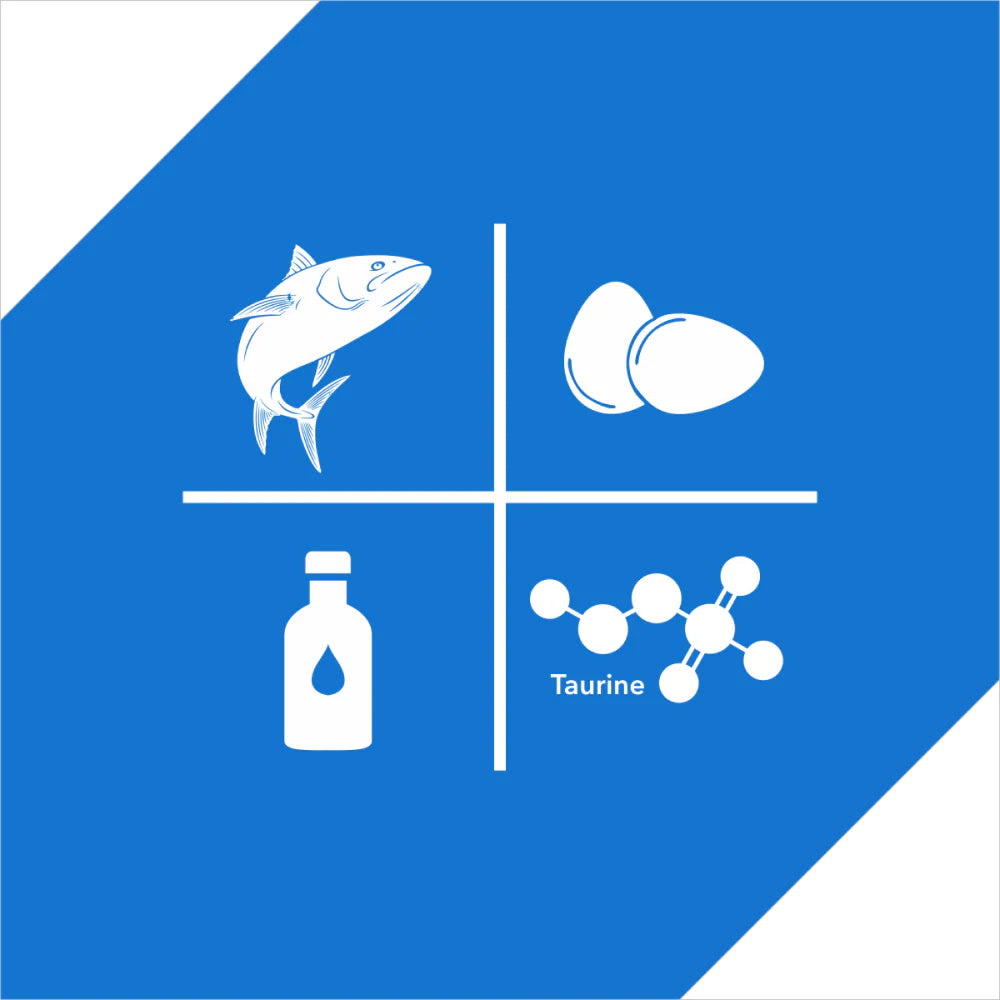Drools Ocean Fish Dry Food For Cat - 3 kg
