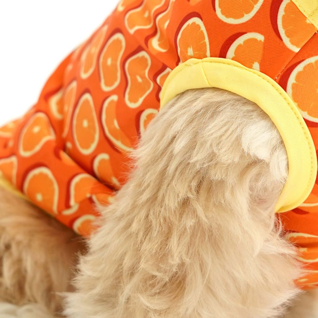 Fruity Dog Vest Combo