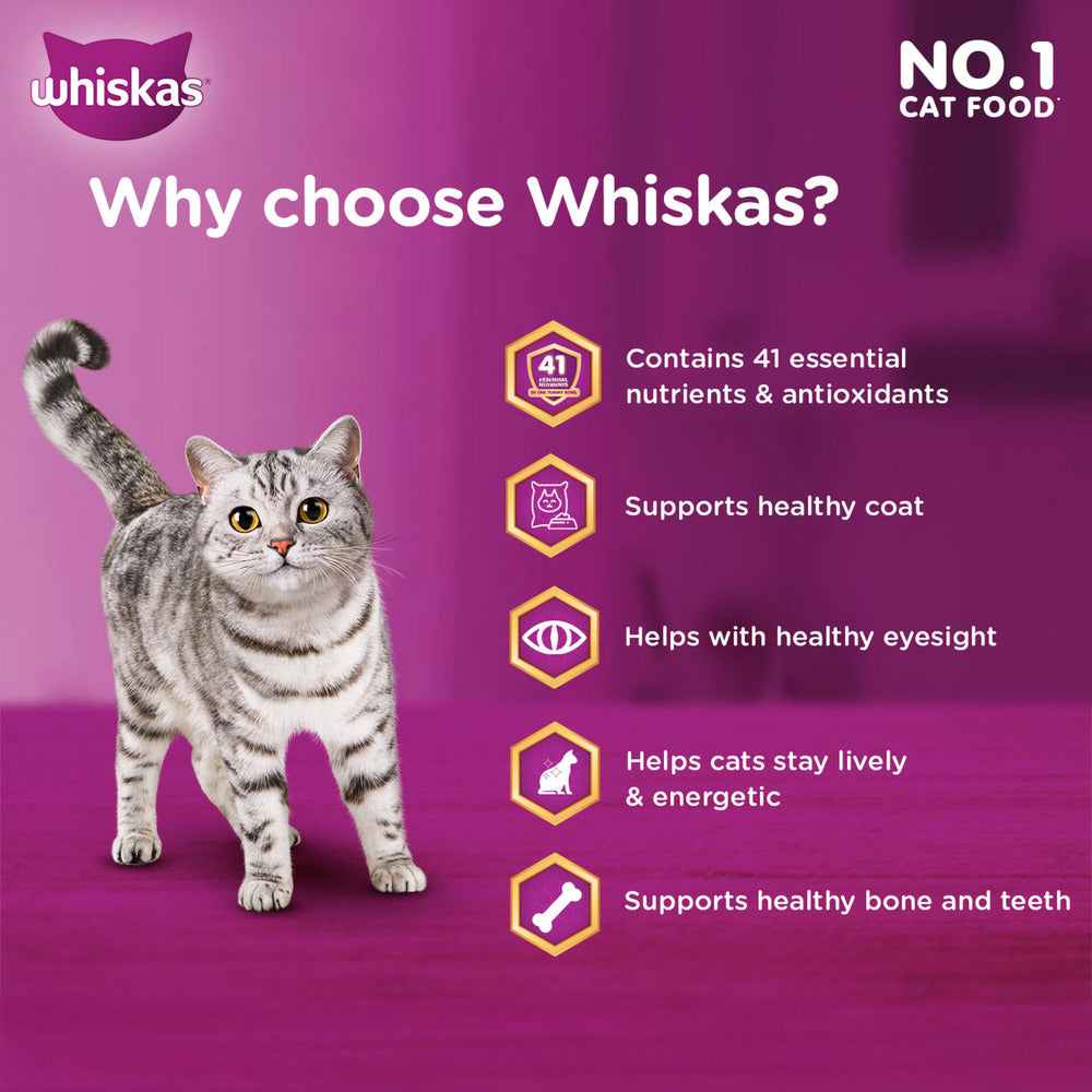 Whiskas Chicken Dry Food For Adult Cat