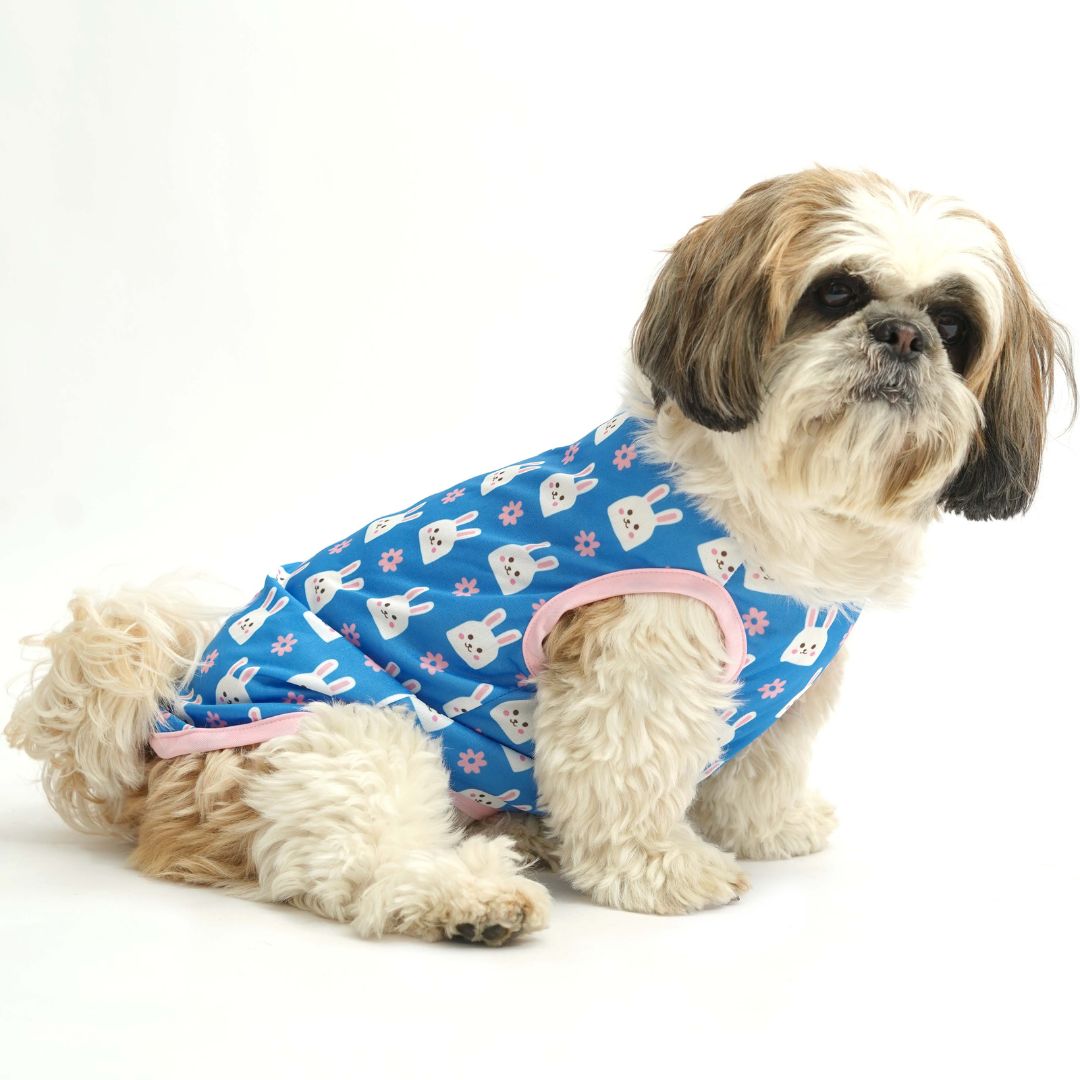 Bunny Printed Dog Vest