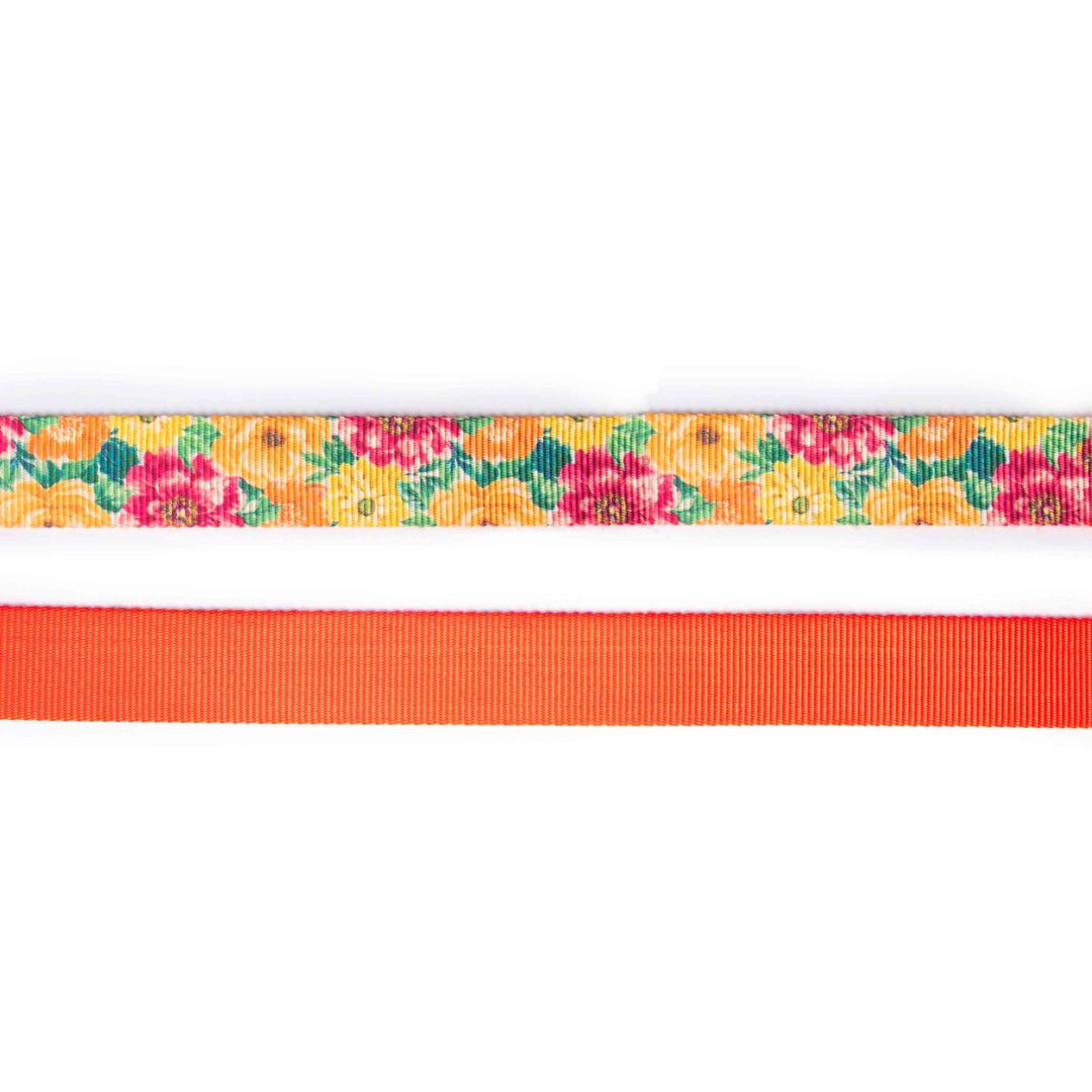 Spring Dog Collar Leash Set