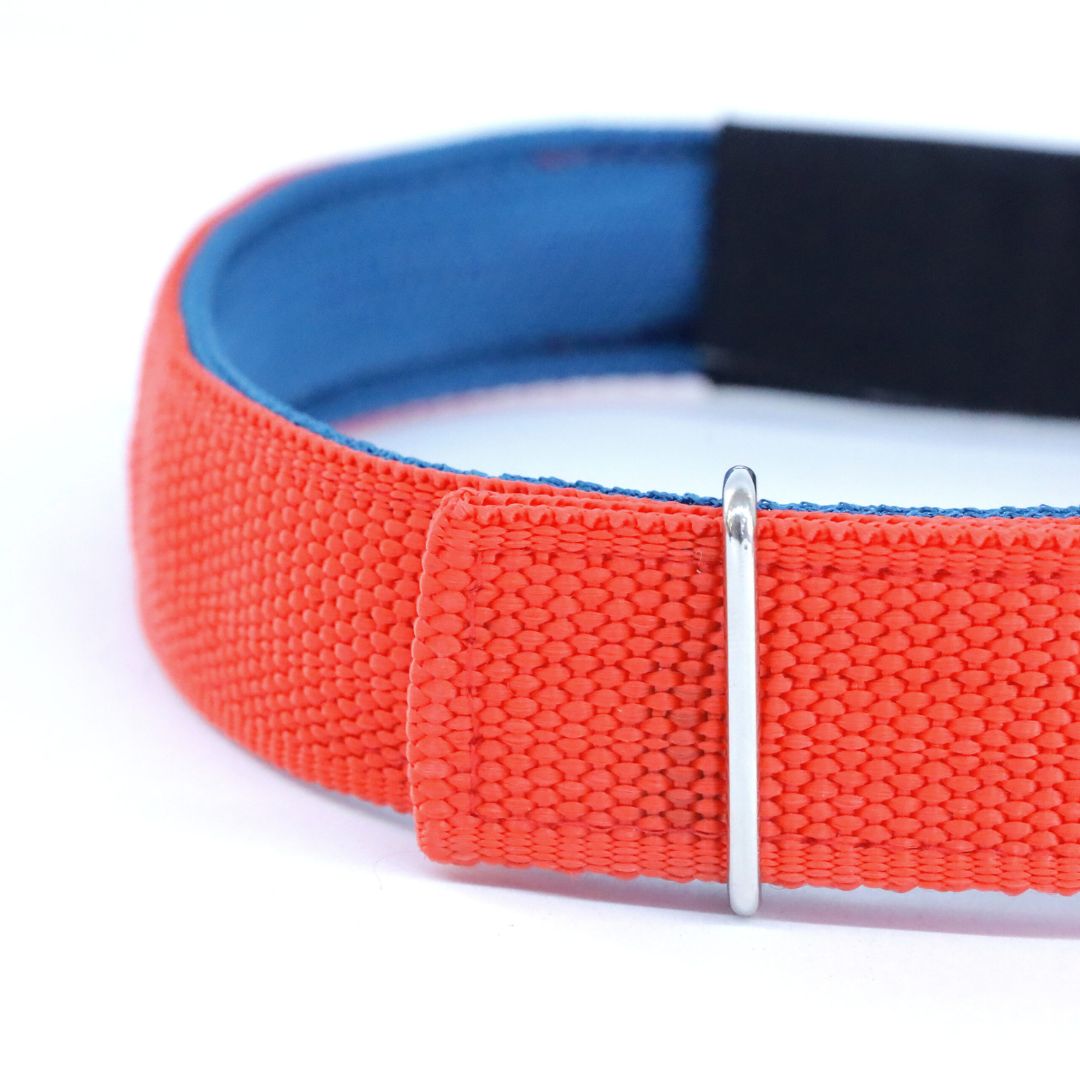 Jam Every Day Dog Collar Leash Set