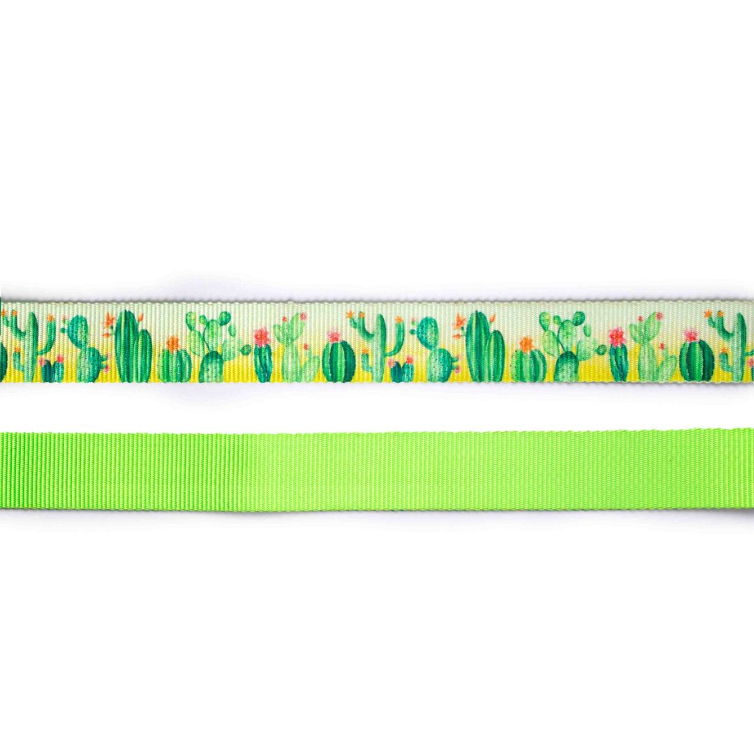 Desert Dog Collar Leash Set