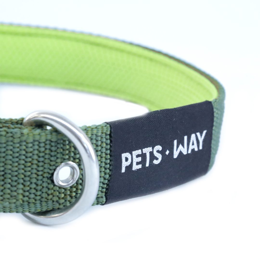 Olive Every Day Dog Collar Leash Set