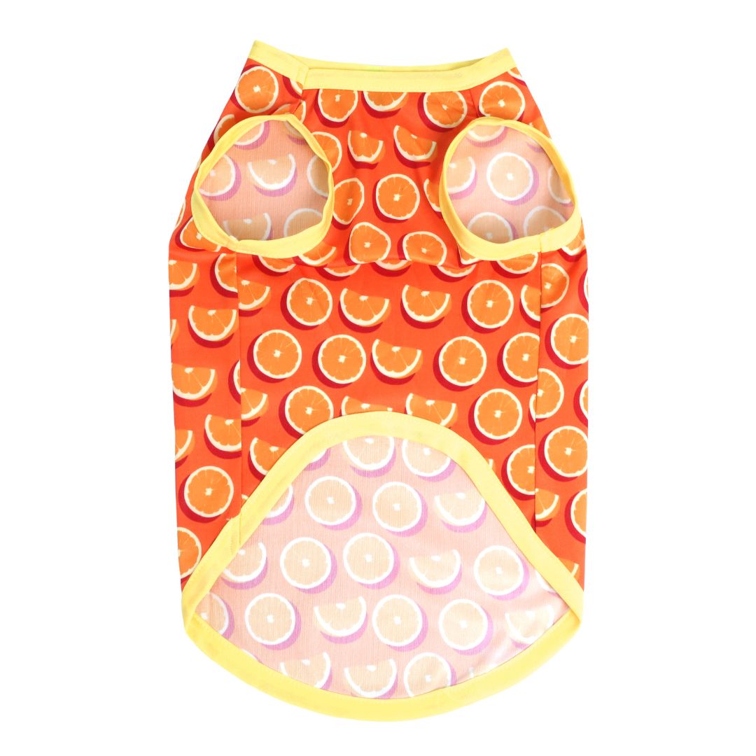 Fruity Dog Vest Combo